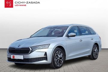 Selection 1,5 TSI m-HEV 150KM DSG, Salon Polska